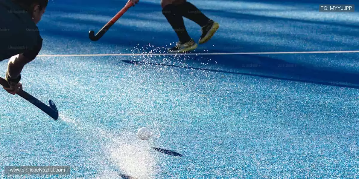 高清画质,畅享赛事!🎥🏒